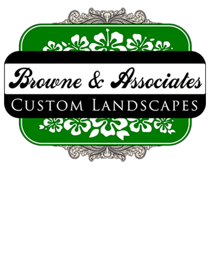 Logo Browne Associates Footer 2024